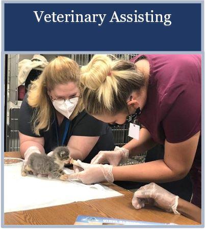 vet student